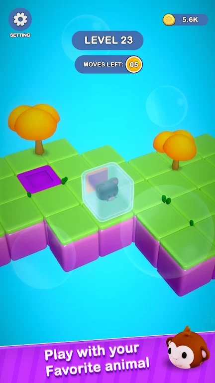 èèԹð(Meow Maze)