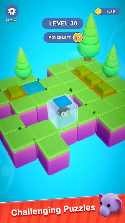 èèԹð(Meow Maze)