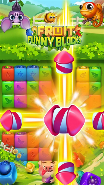 Ȥˮ(Fruit Funny Blocks)