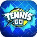 网球世界巡回赛3D(Tennis Go)