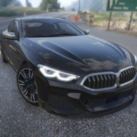 物理汽车驾驶(Car Driving Games Simulator)