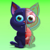 öи(IDLE Animal Anatomy)