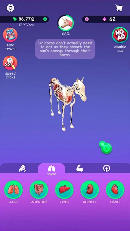 öи(IDLE Animal Anatomy)