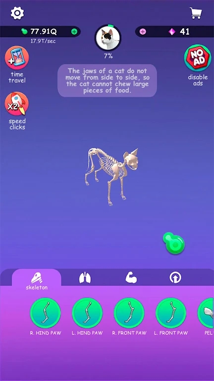 öи(IDLE Animal Anatomy)