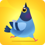 ľ(Pigeon)