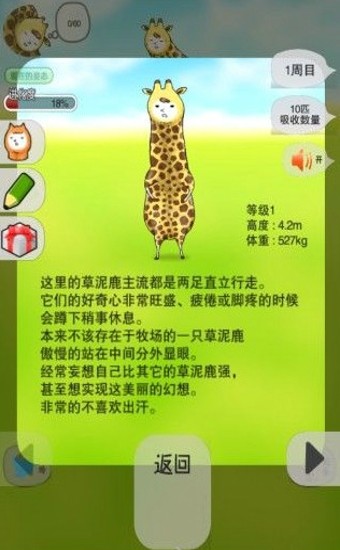 ֹ¹(Giraffe)