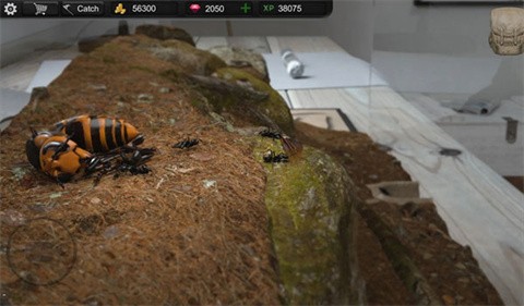 蚂蚁模拟大亨2023(Ant Sim Tycoon)
