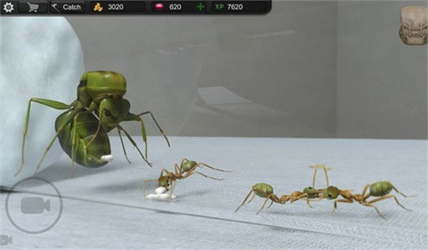 蚂蚁模拟大亨2023(Ant Sim Tycoon)