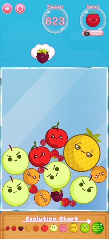 ϲˮ(Watermelon Merge)