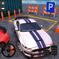 ʵִͣ(Real Advance 3D Car Parking)