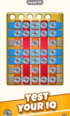 ˿ƴͼĸ˨(Screw Puzzle)