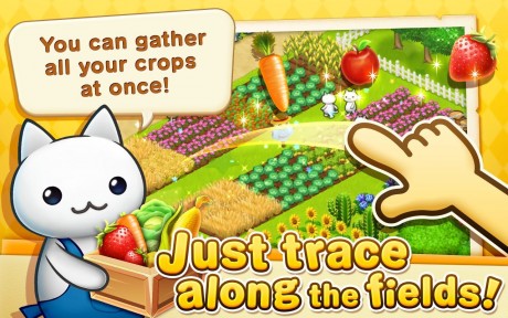 ǵ(Star Acres)