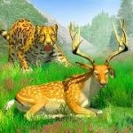 丛林狩猎动物(Sniper Clash Jungle Hunting Animal Shooting Games)