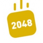 2048ש(2048 Bricks)