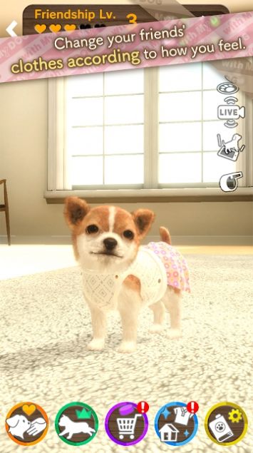 与狗同行(withMyDOG)