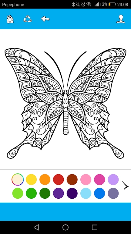 蝴蝶涂色书(Butterfly Coloring)