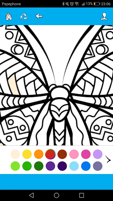 蝴蝶涂色书(Butterfly Coloring)