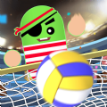 惊奇的3D排球(Amazing Volleyball 3D)