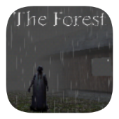 兰德里纳河的森林雨天(Slendrina: The Forest)