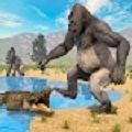 ð(Gorella Game)