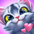 猫分类(Cat sort)