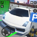 汽车停车驾驶(Car Parking Games Car Driving)