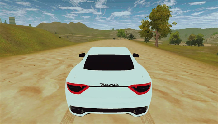 汽车疯狂道路(Cars : Crazy Roads)
