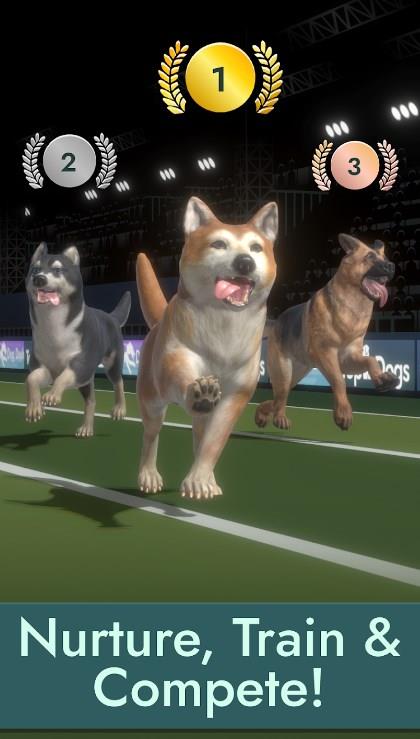 顶级小狗奔跑(Top Dogs)
