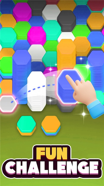 六角排序拼图(Hexa Sort Puzzle Sorting Game)