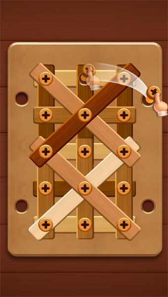螺母和螺栓板(Screw Puzzle)