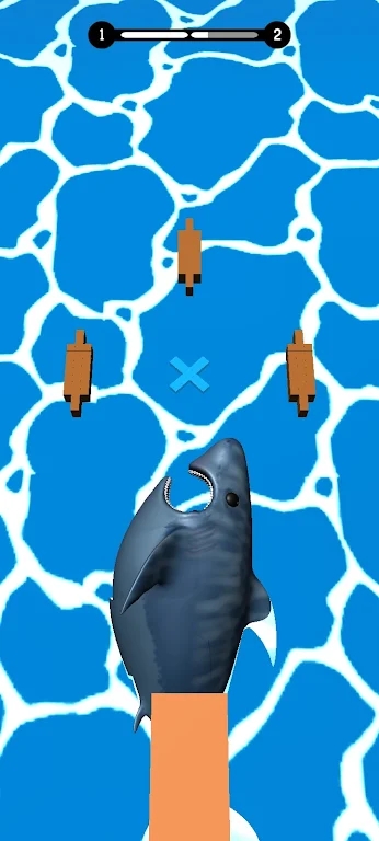 鲨鱼吞咽(Shark Swallow)