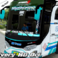 巴士维检员中文版(Bus Winspektor)