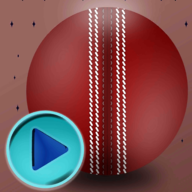 ס(Catch Cricket Ball)