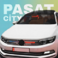 ֮(Pasat City)