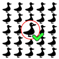 ڰҲͬ