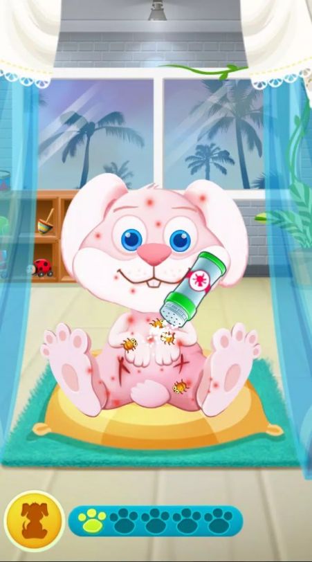 动物护理(Animal Care)