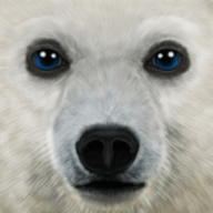 北极熊模拟器(ArcticSim)