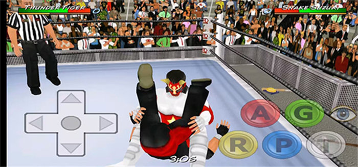 摔跤革命3d改版2k18(Wrestling Cage Revolution)