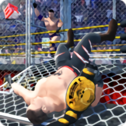 摔跤革命3d改版2k18(Wrestling Cage Revolution)