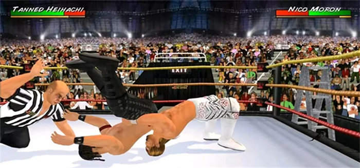 摔跤革命3d改版2k18(Wrestling Cage Revolution)
