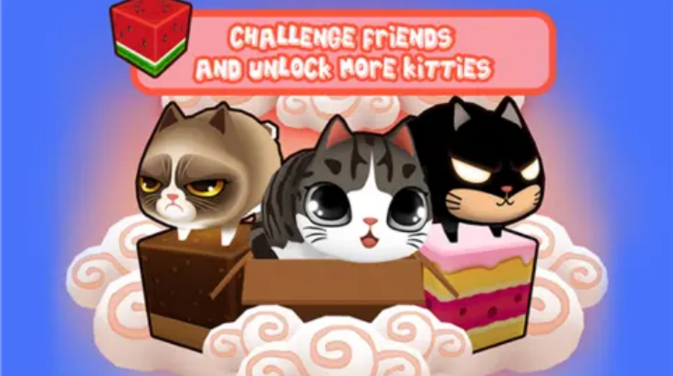 盒子里的猫游戏(Kitty in the Box)