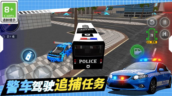 警察抓捕行動