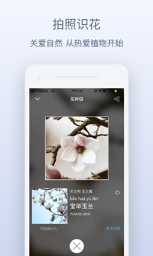 花伴侶