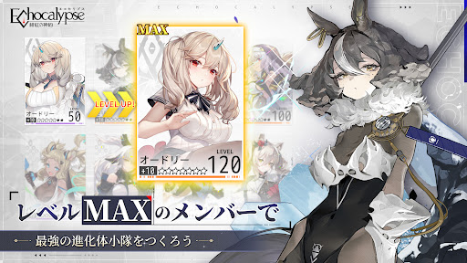 緋色回響國服
