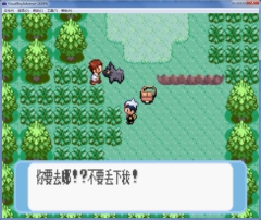 口袋妖怪藍寶石
