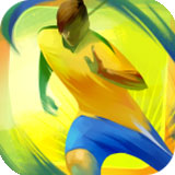 向巴西奔跑2014(Road to Brazil 2014)