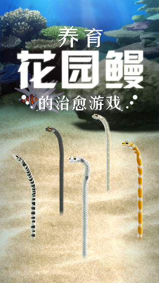 養(yǎng)育花園鰻的治愈游戲