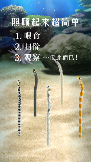 養(yǎng)育花園鰻的治愈游戲