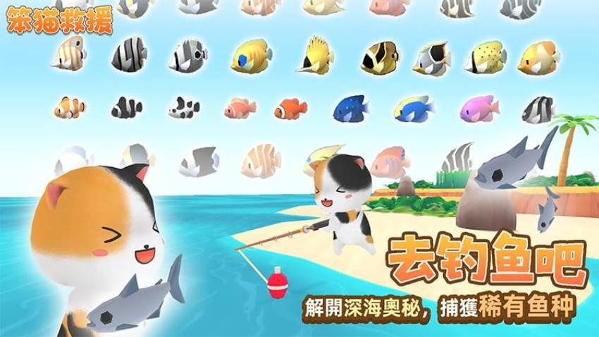 笨貓救援
