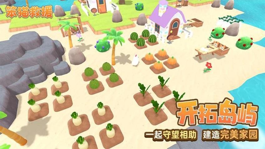 笨貓救援